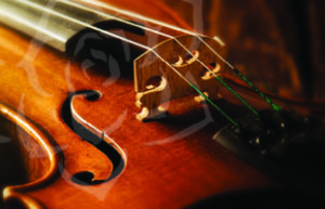 Violin closeup