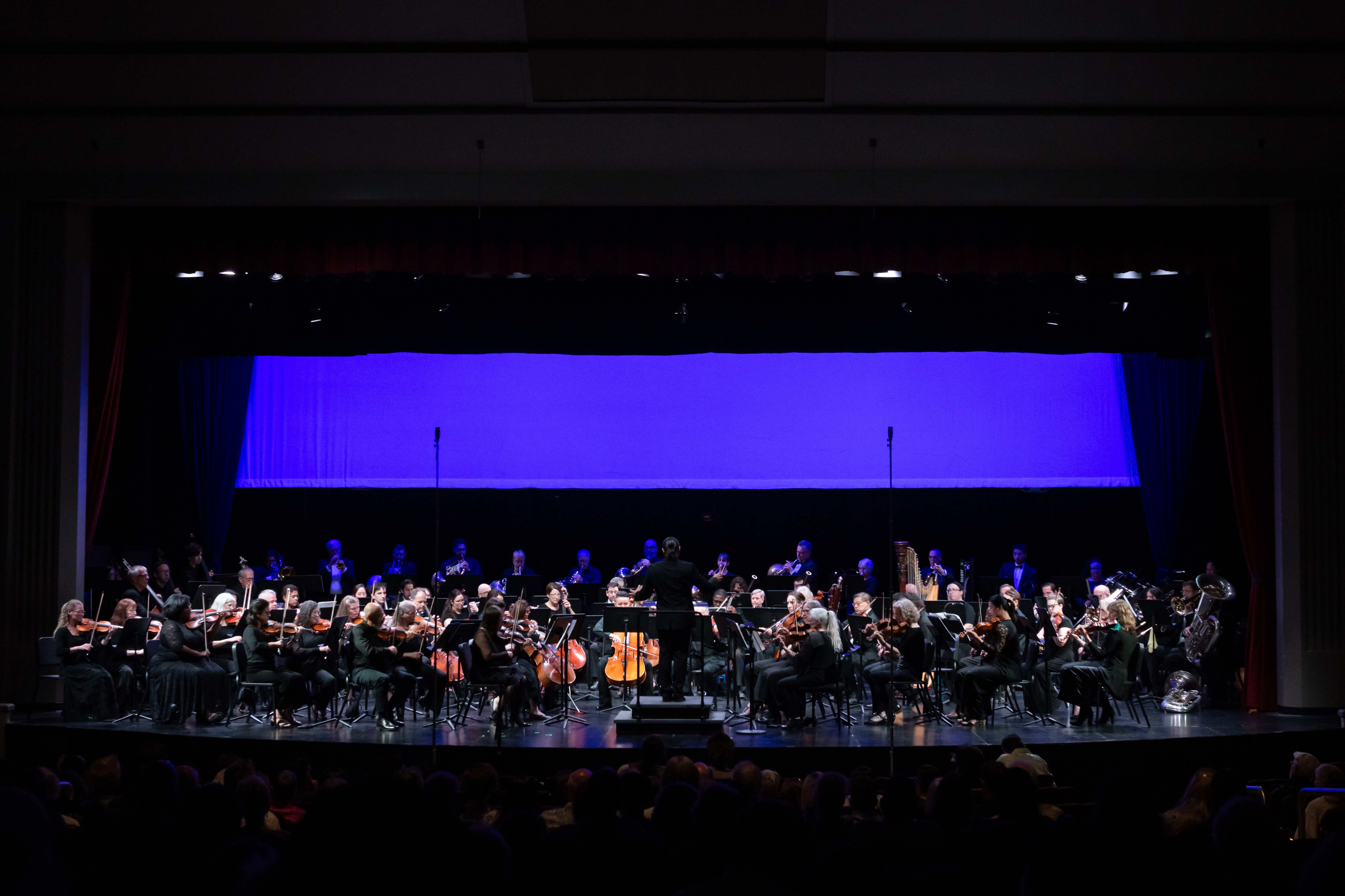 Camellia orchestra on stage